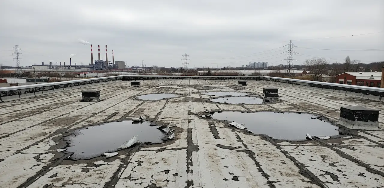 Gemini_Generated_Image_2nx0ay2nx0ay2nx0