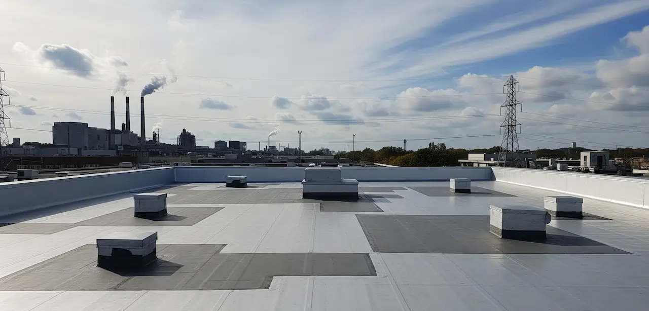 Gemini_Generated_Image_4um5gc4um5gc4um5