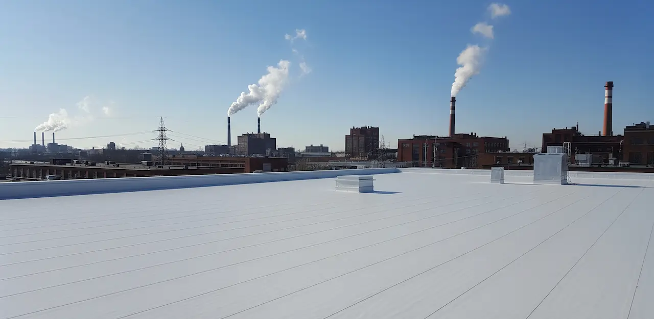 Gemini_Generated_Image_acubntacubntacub