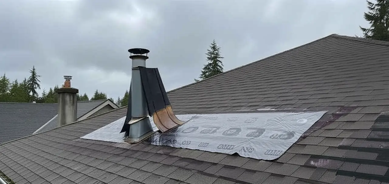 Gemini_Generated_Image_c0aw47c0aw47c0aw